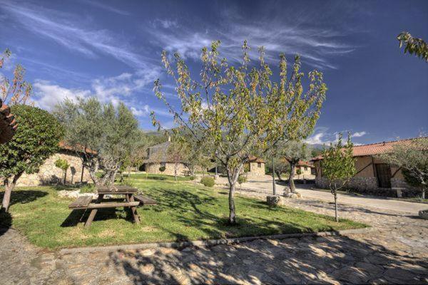 Complejo Rural Los Chozos Valle Del Jerte Εξωτερικό φωτογραφία